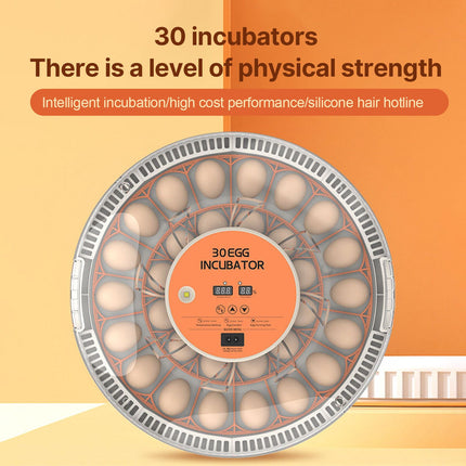 30 Eggs Incubator with Automatic Egg Turning Humidity Control Temperature Display and Egg Candler Light Cozy Incubator with External Injection Water Bottle for Hatching Chicken Bird Duck Quail Parrot Eggs