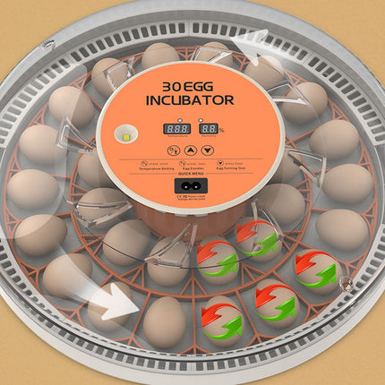 30 Eggs Incubator with Automatic Egg Turning Humidity Control Temperature Display and Egg Candler Light Cozy Incubator with External Injection Water Bottle for Hatching Chicken Bird Duck Quail Parrot Eggs