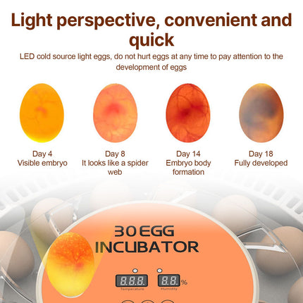 30 Eggs Incubator with Automatic Egg Turning Humidity Control Temperature Display and Egg Candler Light Cozy Incubator with External Injection Water Bottle for Hatching Chicken Bird Duck Quail Parrot Eggs