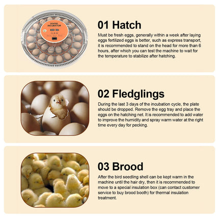 30 Eggs Incubator with Automatic Egg Turning Humidity Control Temperature Display and Egg Candler Light Cozy Incubator with External Injection Water Bottle for Hatching Chicken Bird Duck Quail Parrot Eggs