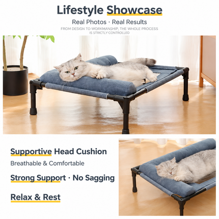 Elevated Pet Cot with Bolster Cushion for Cats and Small Dogs, Breathable Mesh Bed for Indoor Living Room and Bedroom Comfort (Navy)