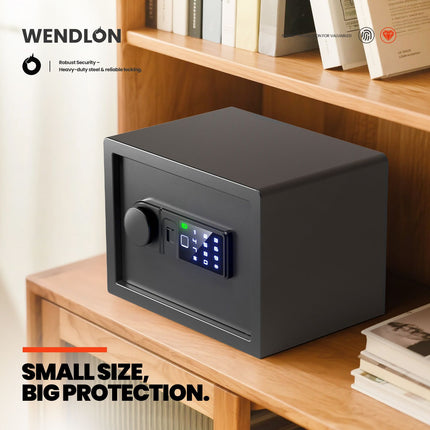 Wendlon Touch Screen Safe Box with Silent Mode, Backlit Keypad, LED Light, Anti-Rust & Anti-Theft, Home/Office, 25×35×25 cm, Black