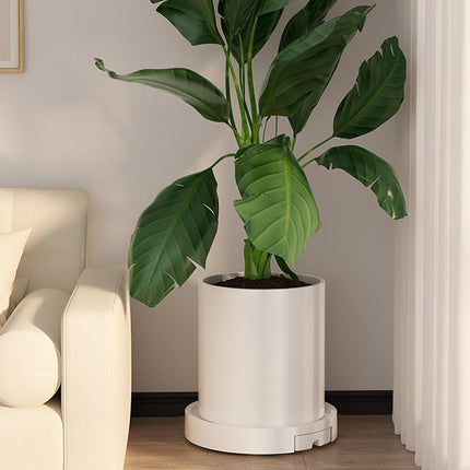 CARLA HOME Rolling Plant Stand with 360° Wheels for Indoor Pots (26 cm).