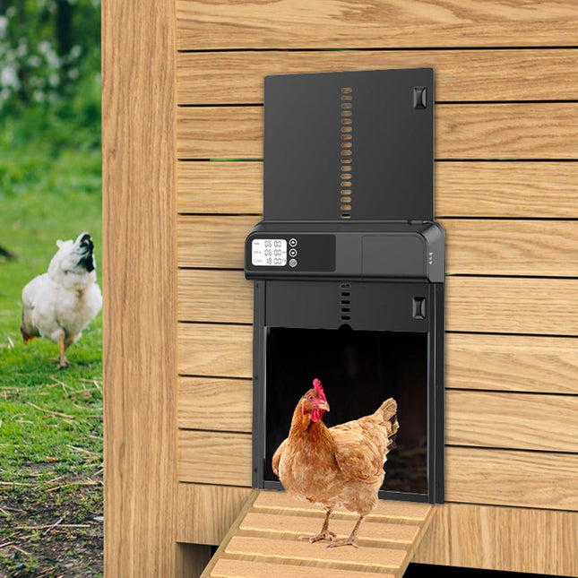 Electronics > Business & Home Security > Electronic Door Locks.
