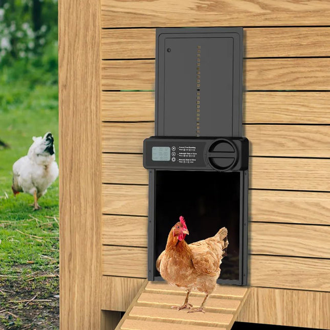 CARLA HOME Automatic Chicken Coop Door Opener with Timer Control, Anti-Pinch Protection, LCD Display & Battery Powered for Backyard Chickens.