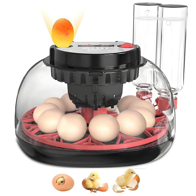 Appliances > Aroma Diffusers & Humidifiers > Humidifiers.