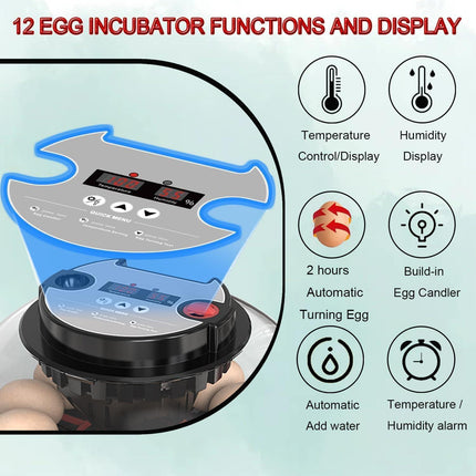 CARLA HOME 12 Egg Incubator with Automatic Turning, LED Display, Humidity & Temperature Control, Auto Water System & Built-in Egg Candler for Chicken, Duck, Quail, Goose.