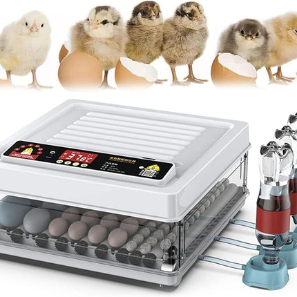 CARLA HOME 70 Egg Incubator with Automatic Turning, LED Display, Humidity & Temperature Control, Auto Water System & Built-in Egg Candler for Chicken, Duck, Quail, Goose.