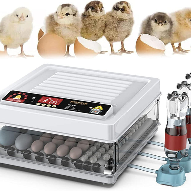 Appliances > Aroma Diffusers & Humidifiers > Humidifiers.