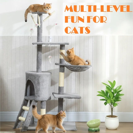 Pet Care Cartoz.