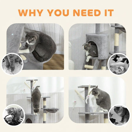 Pet Care Cartoz.