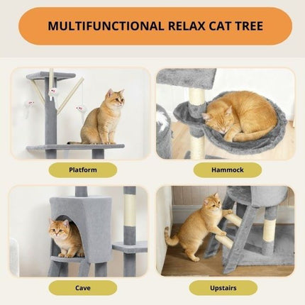 Pet Care Cartoz.