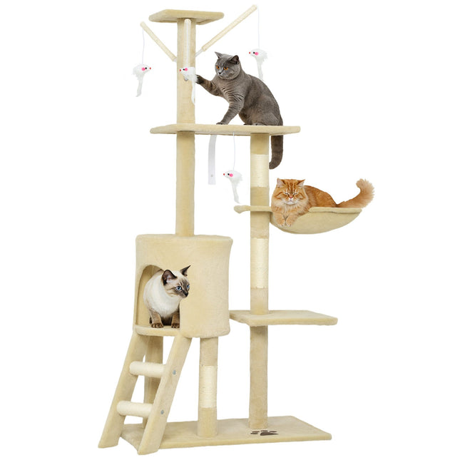 Pet Care.