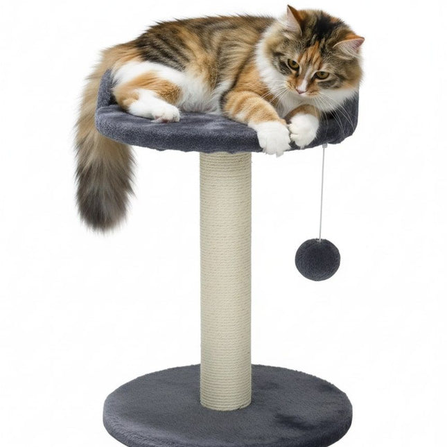 Pet Care.