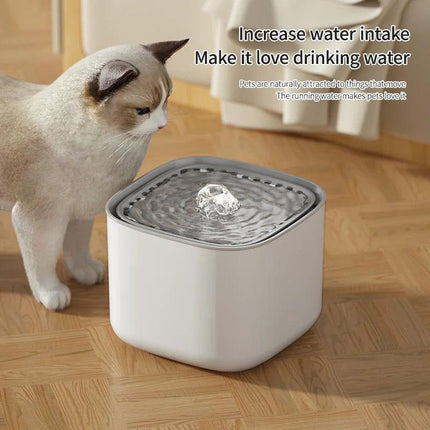 3L Cat Water Fountain Large Filter USB.