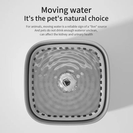 3L Cat Water Fountain Large Filter USB.