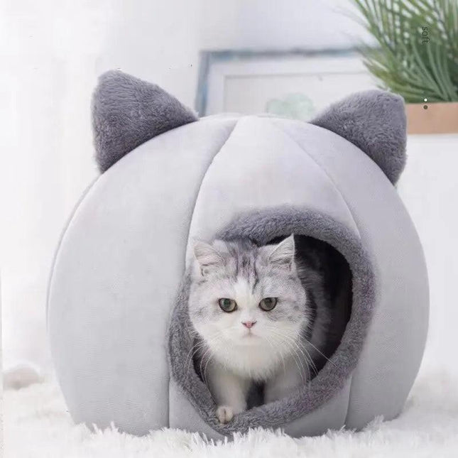 Pet Care.