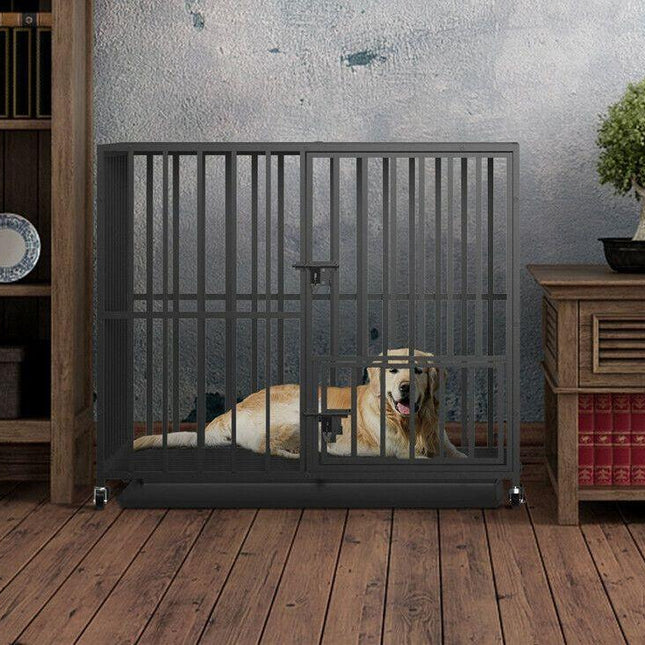 Pet Care.