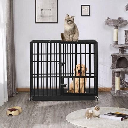 Pet Care.