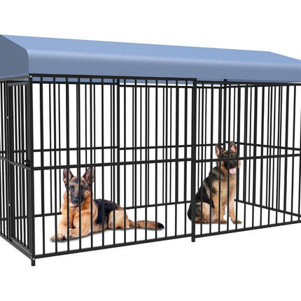 Pet Care Cartoz.