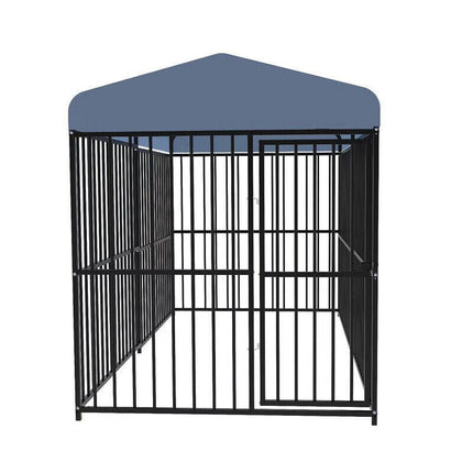 Pet Care Cartoz.