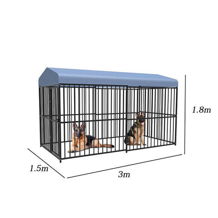 Pet Care Cartoz.