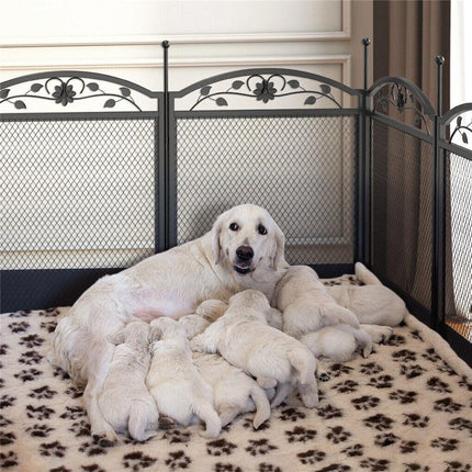 Pet Care.