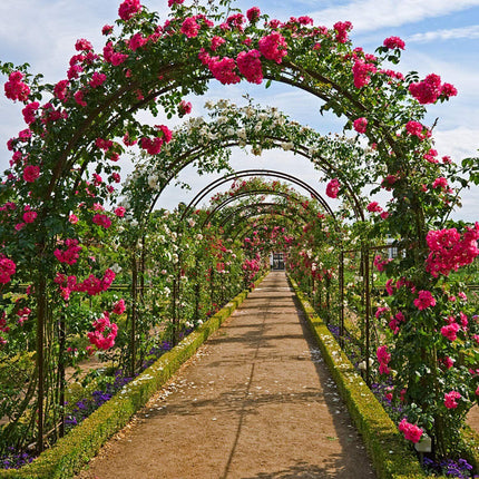 Home & Garden Cartoz.