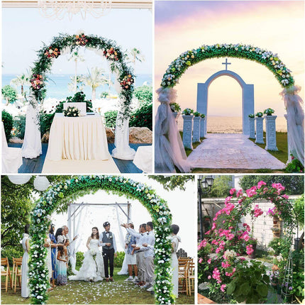 Home & Garden Cartoz.
