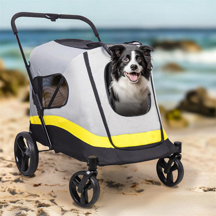 Pet Care.