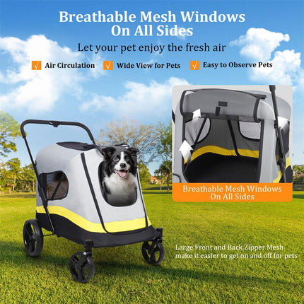 Pet Care.