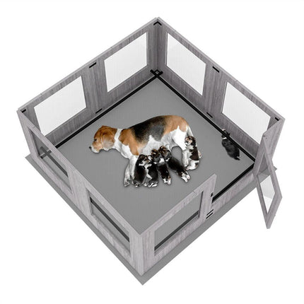 Pet Care.