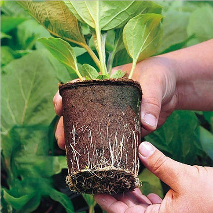 10pcs Biodegradable Seedling Trays 12-Hole Garden Starter.