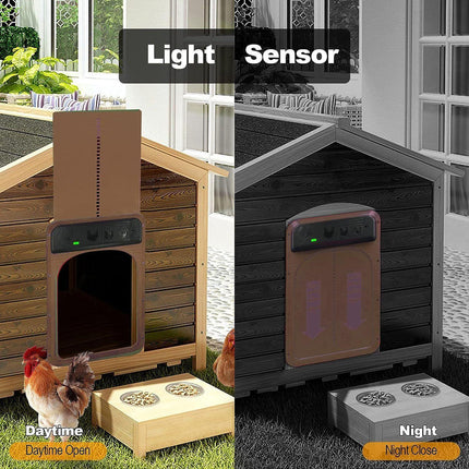 Home & Garden Cartoz.