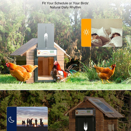 Automatic Chicken Coop Door Solar/Battery/AC 6W Aluminum Copper.