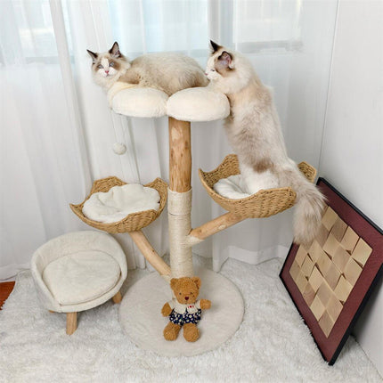 Pet Care.