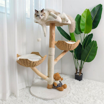 Pet Care.