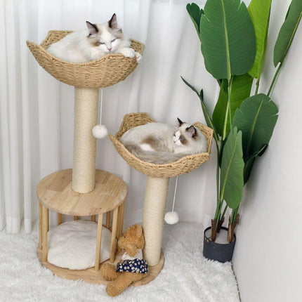 Pet Care.