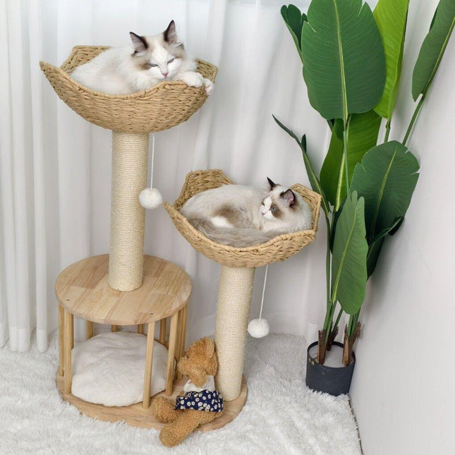 Pet Care.