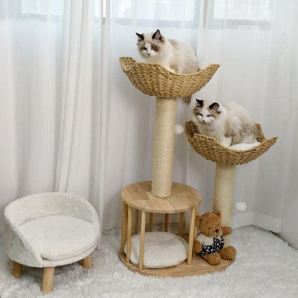 Pet Care.
