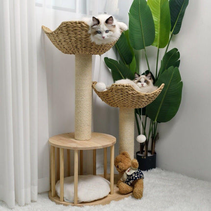Pet Care.
