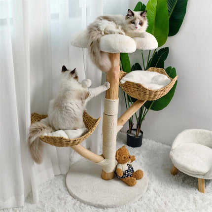 Pet Care.