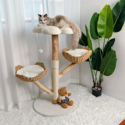 Pet Care.