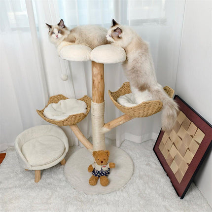 Pet Care.