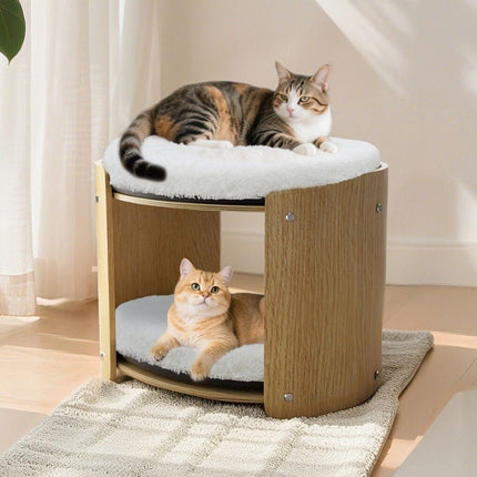 Furniture Cartoz.