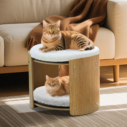 Furniture Cartoz.