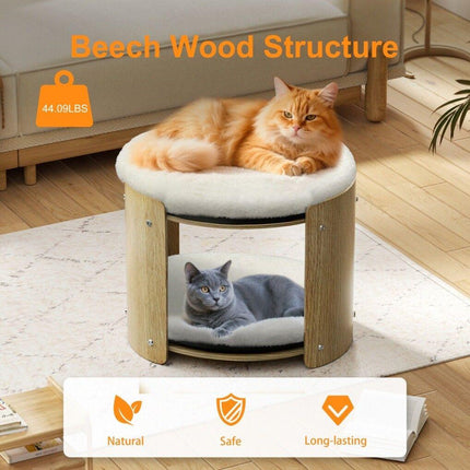 Furniture Cartoz.