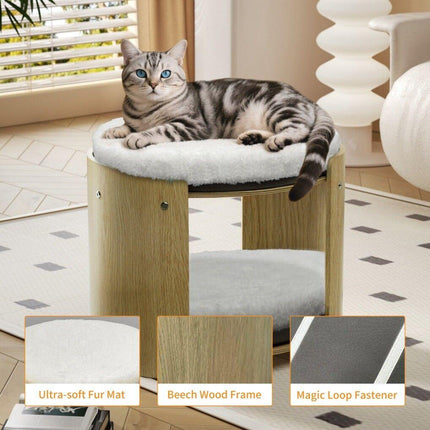 Furniture Cartoz.