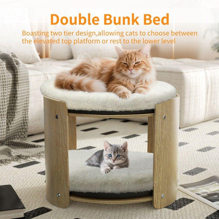 Furniture Cartoz.