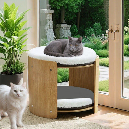 Furniture Cartoz.